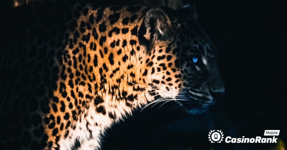 Yggdrasil Partners ReelPlay lansează Jaguar SuperWays de la Bad Dingo