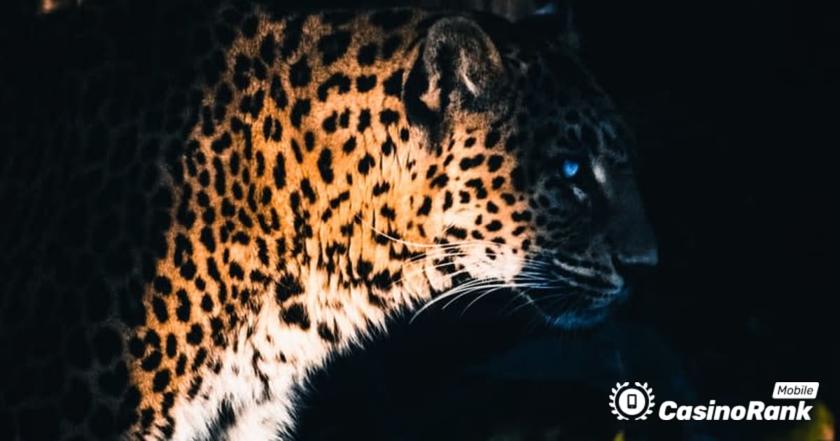 Yggdrasil Partners ReelPlay lanseazÄƒ Jaguar SuperWays de la Bad Dingo