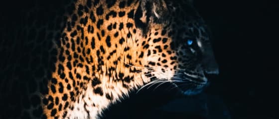 Yggdrasil Partners ReelPlay lanseazÄƒ Jaguar SuperWays de la Bad Dingo